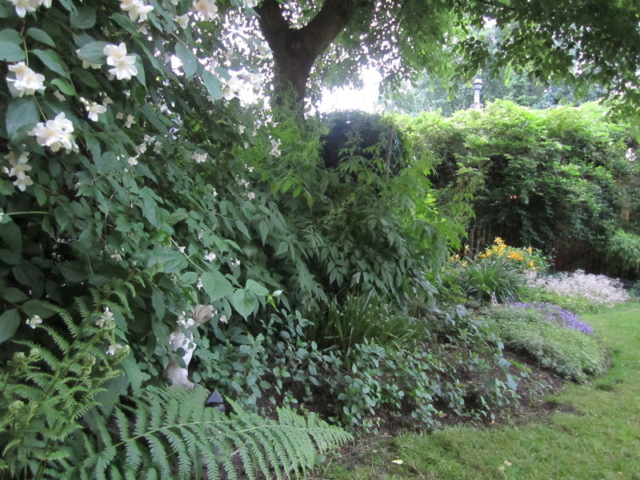 Schattengarten, Staudenbeet Schatten