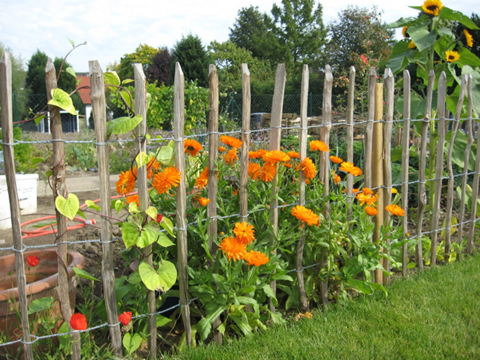 Bauerngarten mit Kastanienzaun Naturzaun Ökozaun