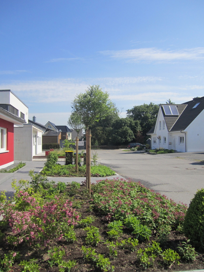 Neuanlage Vorgarten, Beet Vorgarten, Baum, Bodendecker