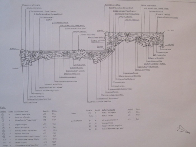 Pflanzplan Hochbeet Gartenplanung