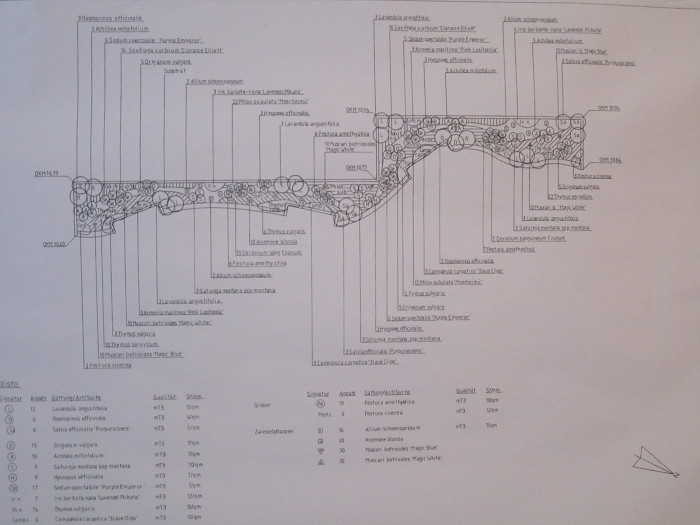 Pflanzplan Hochbeet Gartenplanung