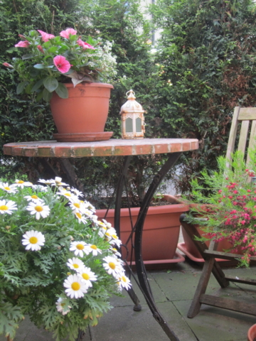 Kleine Terrasse und Kübel, Kübelpflanzen, Gartengestaltung