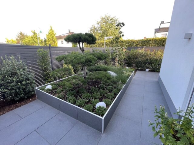 Forgehölz, Hochbeet, Bepflanzung, modern