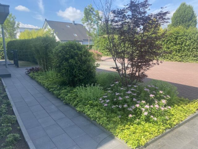 Vorgarten pflegeleicht