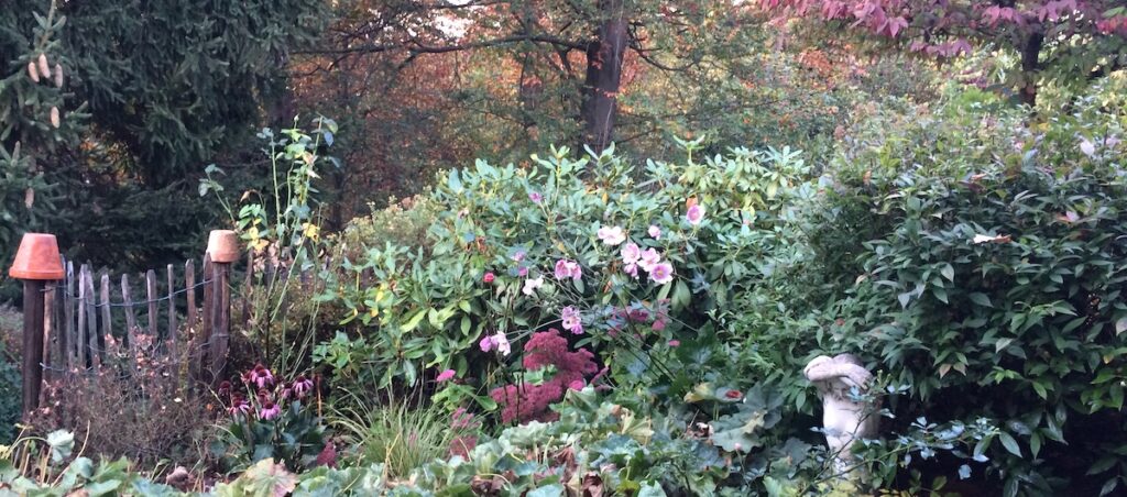 Das aktuelle Bild hat keinen Alternativtext. Der Dateiname ist: IMG_1028-Kopie-e1758708083562.jpg